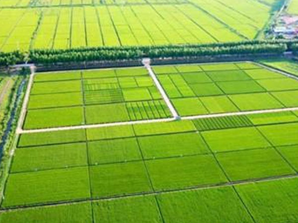 智慧麥作讓種麥走向&ldquo;無人時代"