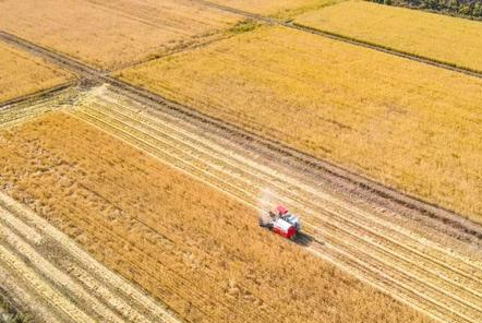 漢風(fēng)古韻兩千載，北方水稻