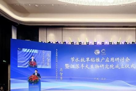 像種小麥那樣種水稻，省一半水的抗旱稻來(lái)了